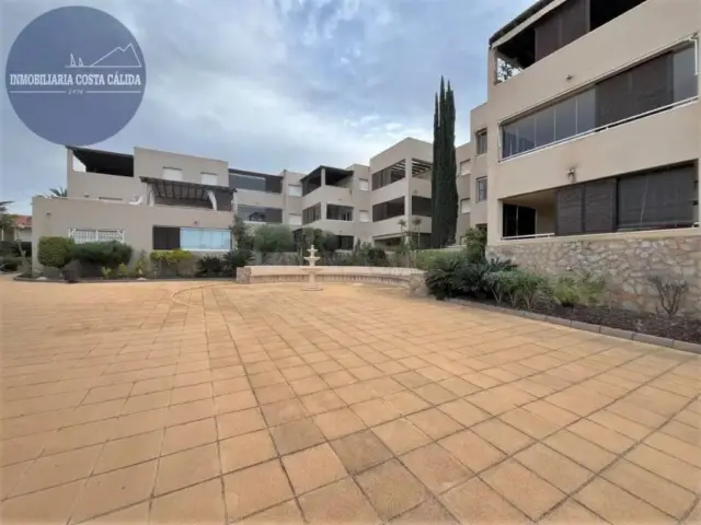 Apartment on Eucalipto Street photo 25