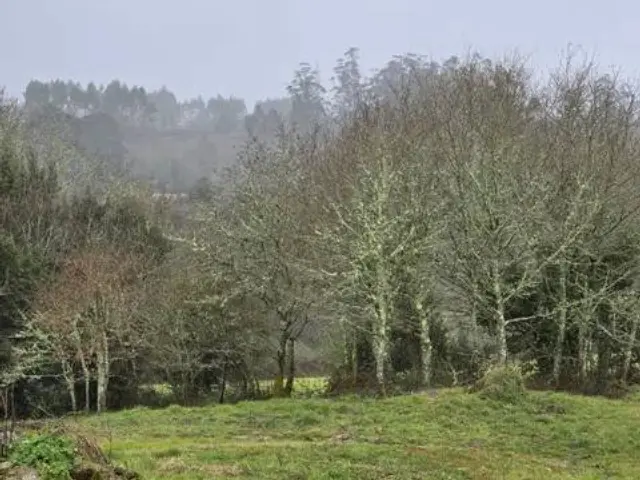 Chalet in Cerceda