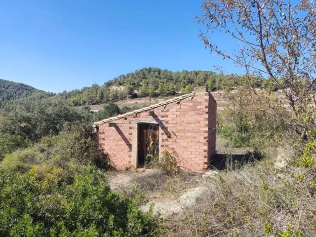 Rustic finca on Ctra S/N