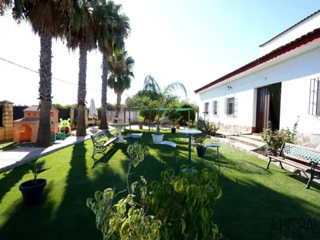 Rustic house in Carmona photo 10