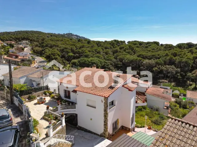 House in Lloret de Mar photo 41
