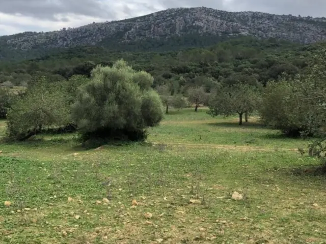 Chalet in Pollença