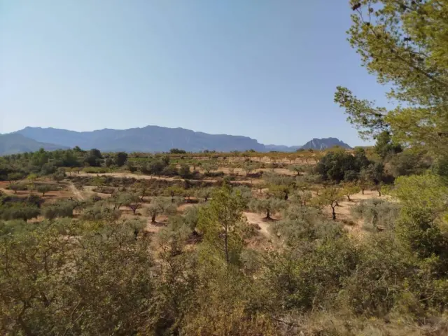 Rustic finca in Horta de Sant Joan