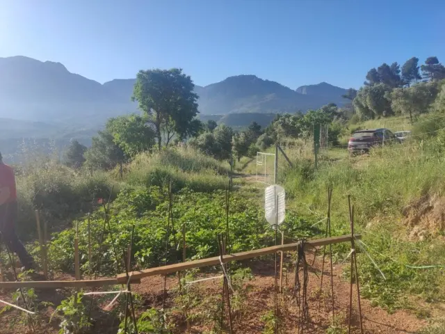 Rustic farm in Horta de Sant Joan