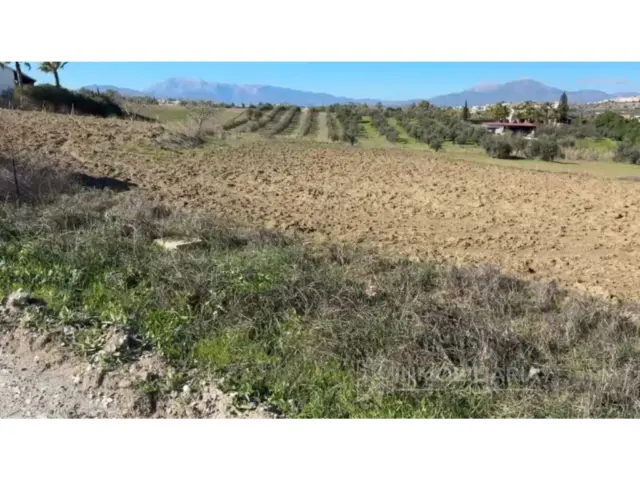 Rustic Farm in Villafranco del Guadalhorce photo 9