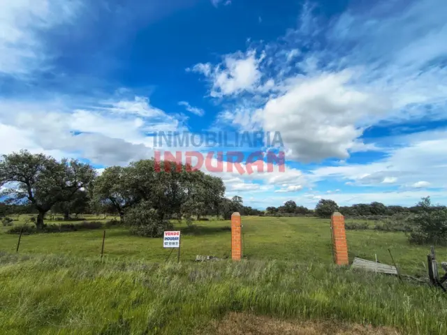 Rustic farm in Navalmoral de la Mata