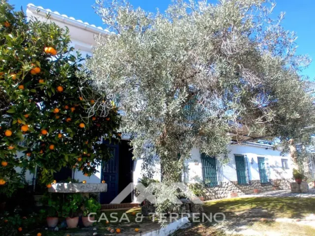 Rustic finca in Alozaina photo 25