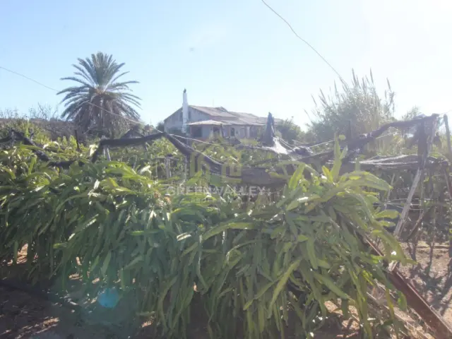 Rustic Finca in Alcaide photo 17