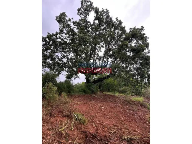 Finca rústica en Villar del Pedroso