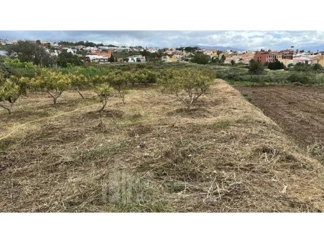 Rustic Finca in El Sauzal