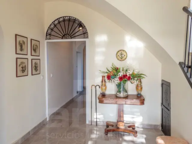 Rustic Finca in Urban Area photo 18