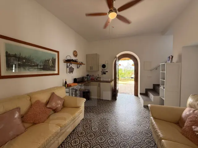 Rustic Finca in Urban Area photo 79