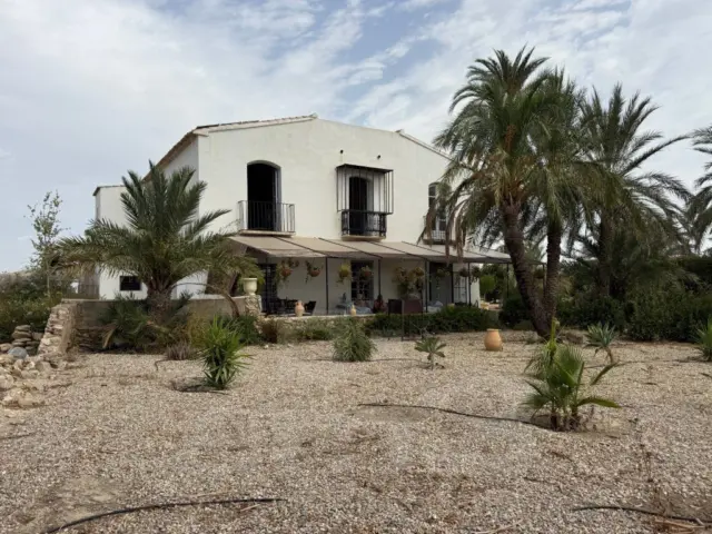 Rustic Finca in Urban Area photo 68