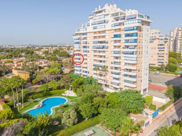 Apartment in Platja Muchavista photo 24