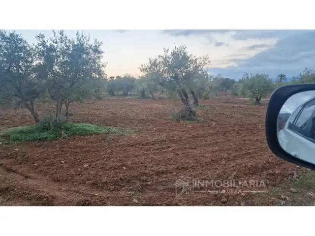 Rustic Finca in Centro