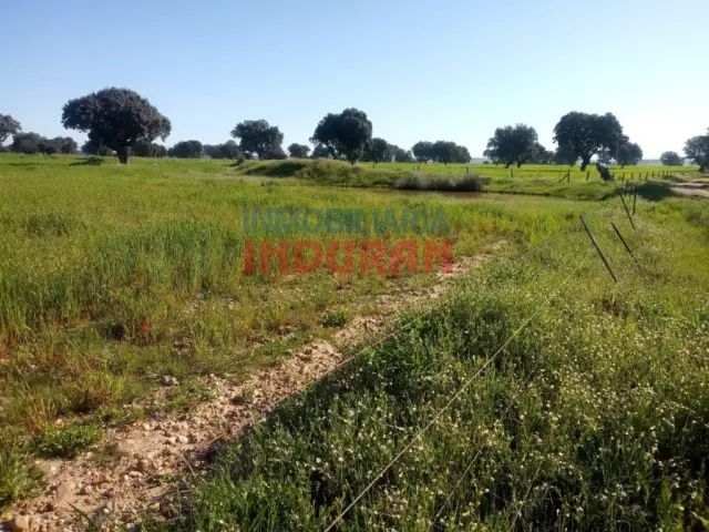 Rustic farm in Peraleda de la Mata