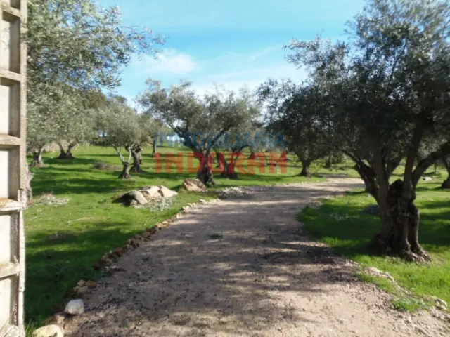 Rustic farm in Belvís de Monroy
