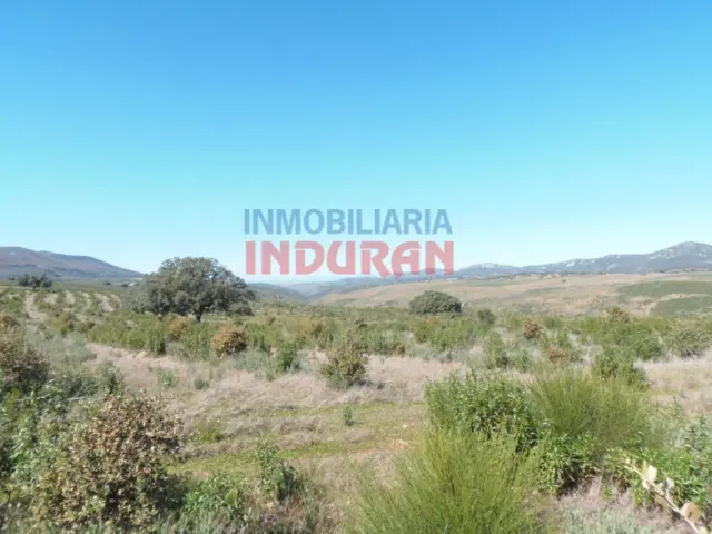 Rustic Finca in Fresnedoso de Ibor