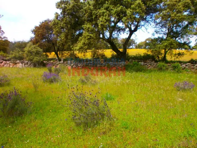 Rustic farm in Millanes