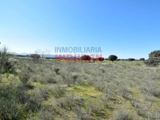 Finca rústica en venta en Calle Cc-80 - Vista 5