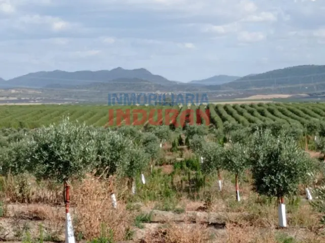 Finca rústica en Saucedilla
