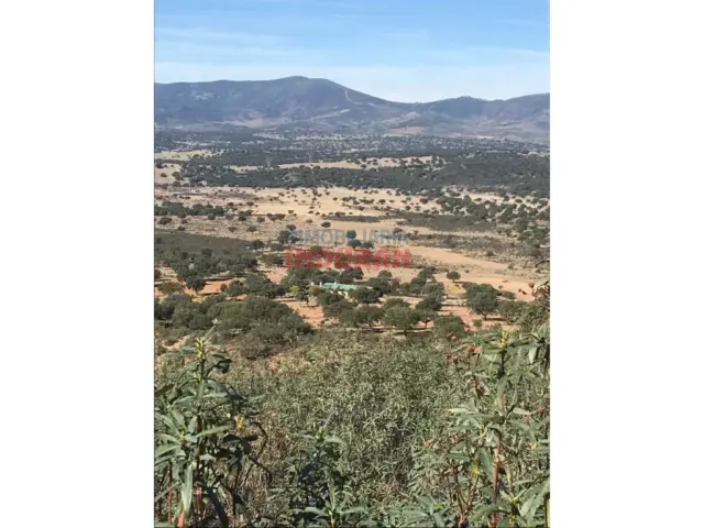 Finca rústica en Cabañas del Castillo