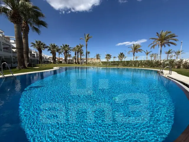 Apartment in Garrucha photo 14