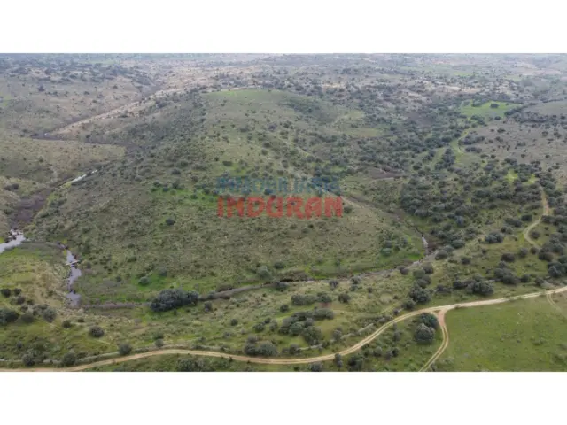 Finca rústica en Villar del Pedroso
