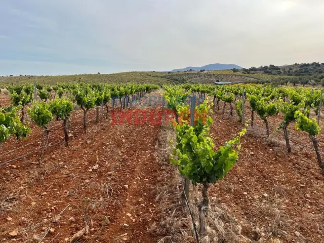 Finca rústica en Villar del Pedroso