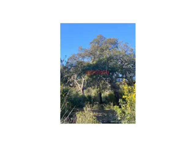 Finca rústica en Río Tinto-Aldea Moret-La Cañada