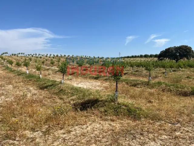 Finca rústica en Galisteo