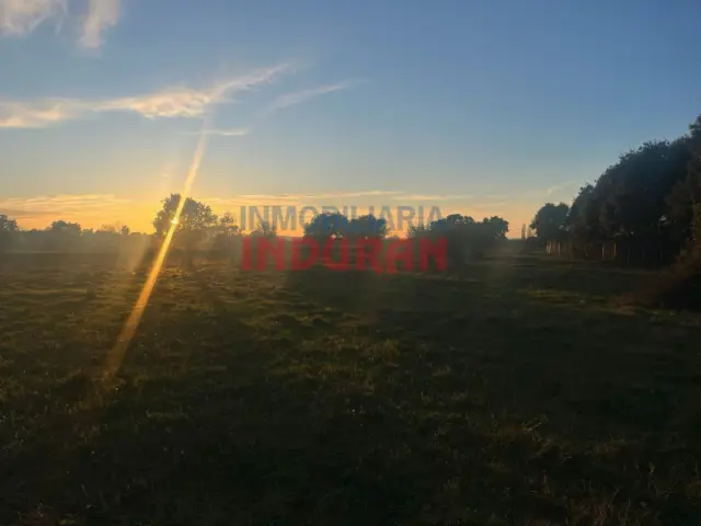 Rustic farm in Saucedilla