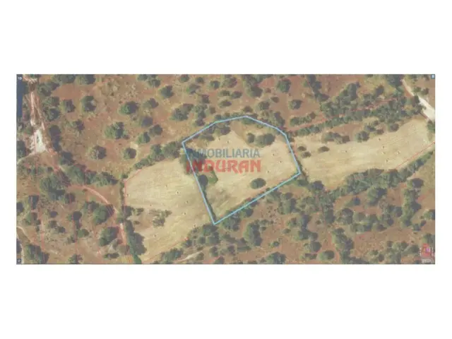 Finca rústica en venta en Valdehúncar - Vista 5