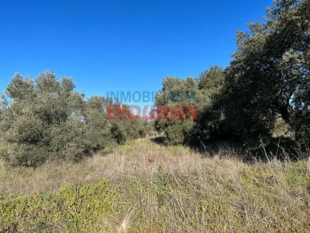 Finca rústica en Millanes