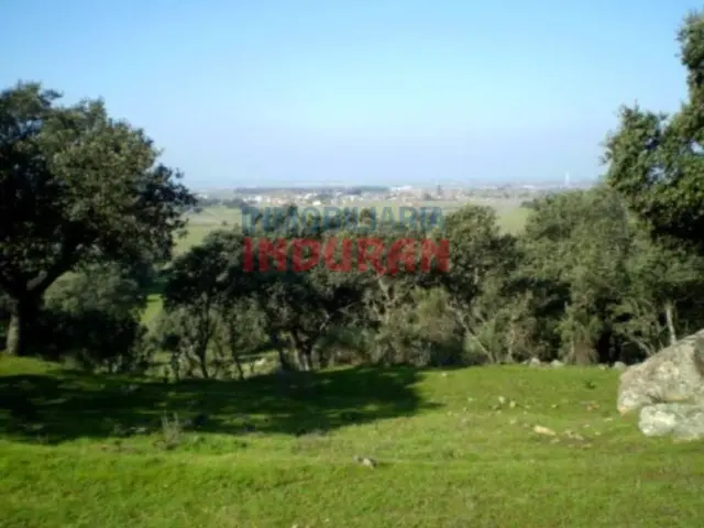 Rustic Farm in Millanes