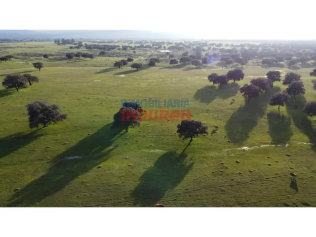 Finca rústica en Saucedilla