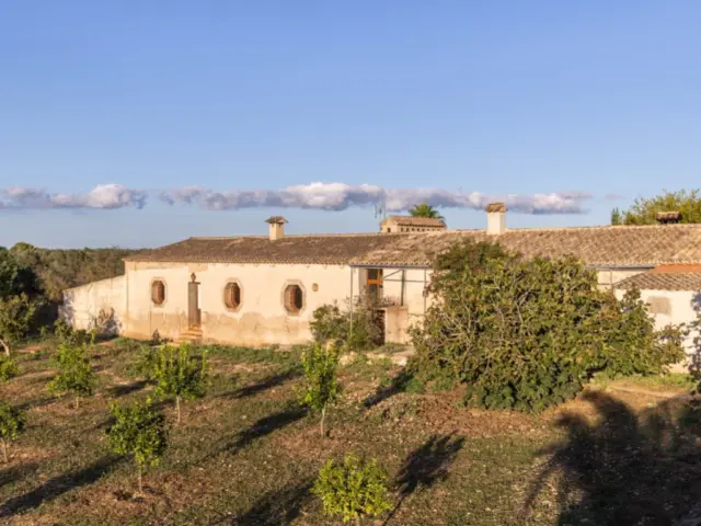 Rustic house in Son Gual photo 3