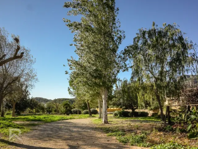 Rustic finca on Camí Pla de Lloret street photo 70