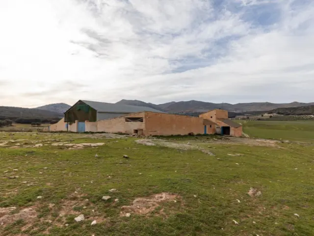 Rustic finca in Alhama de Granada