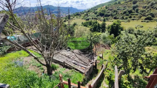 Rustic farm in Ourense