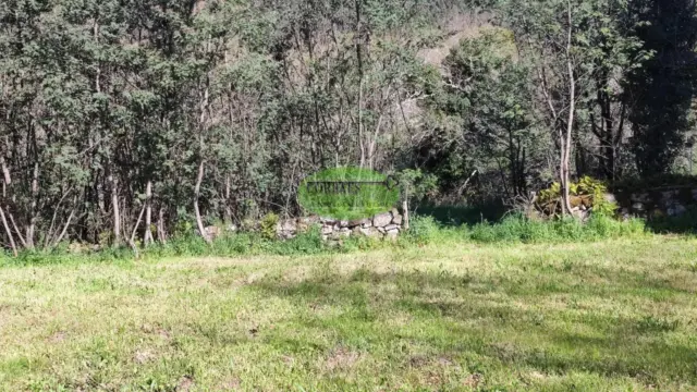 Rustic Farm in Coles