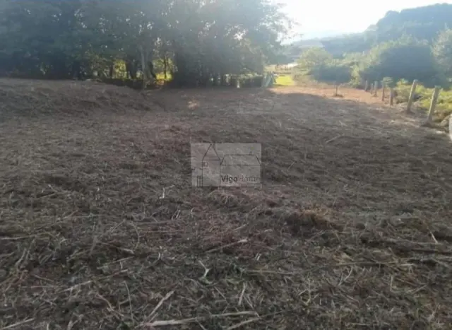 Rustic Finca in Cangas