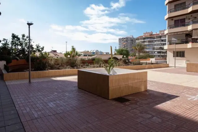 Apartment on Avenida Juan Carlos I photo 28