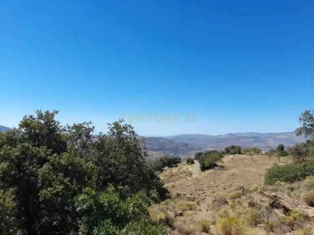 Rustic farm for sale on Calle Centenillos