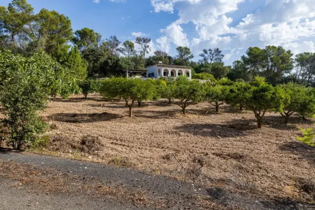 Rustic finca in Algaida