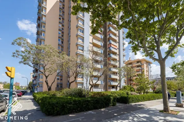 Apartment in Palma de Mallorca