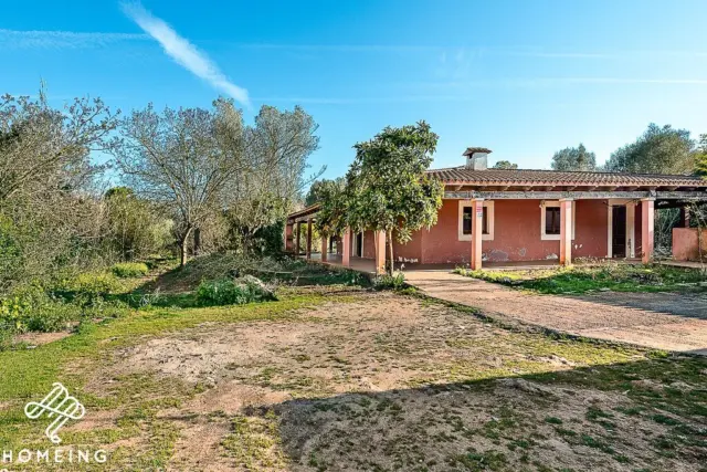 Rustic finca in Algaida