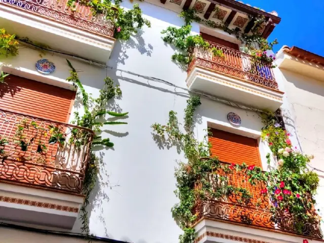House in Alhama de Granada photo 3