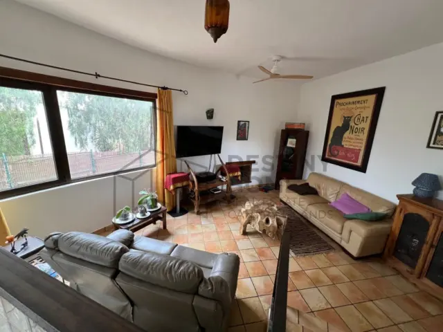 Rustic Finca in Tindaya photo 5