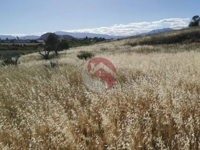 Finca rústica en Capellanía-Retamar